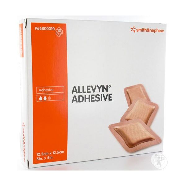Allevyn Adhesive Dressings 12.5cm x 12.5cm Pack Size 10