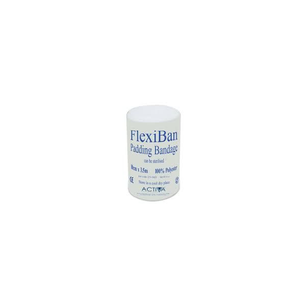 Flexiban Padding Bandage 10cm x 3.5m Pack Size 1