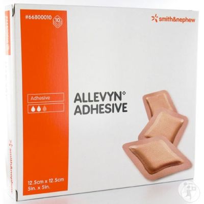 Allevyn Adhesive Dressings 12.5cm x 12.5cm Pack Size 10