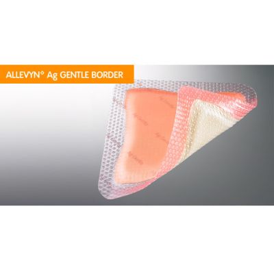 Allevyn Ag Gentle Border Dressings 17.5cm x 17.5cm Pack Size 10