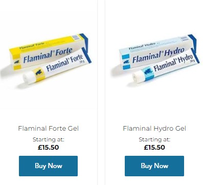 Exploring Protease Modulating Dressings: Enhancing Wound Healing